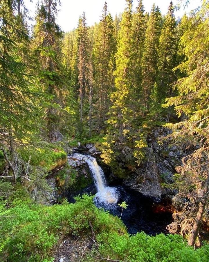 Sonfjaellsgardens Waerdshus & Hotell Hede  Экстерьер фото